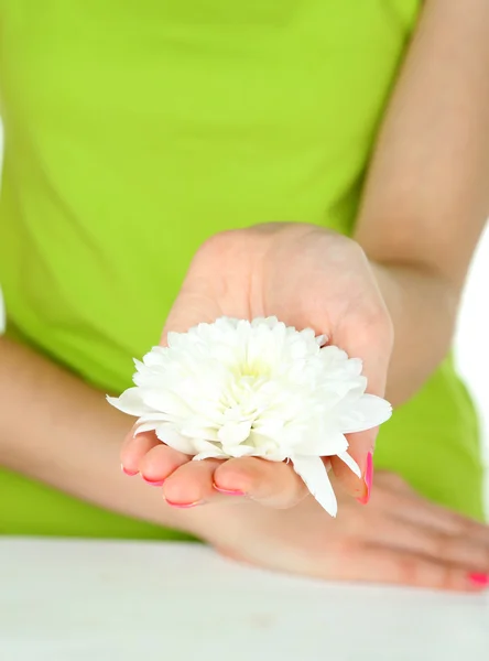 Bellissimo fiore bianco nelle mani delle donne isolato su bianco — Foto Stock