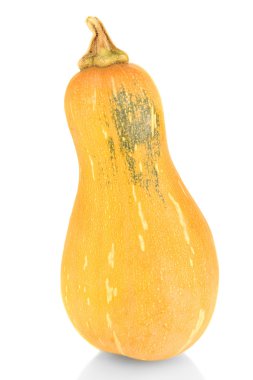 Olgun balkabağı beyaz izole