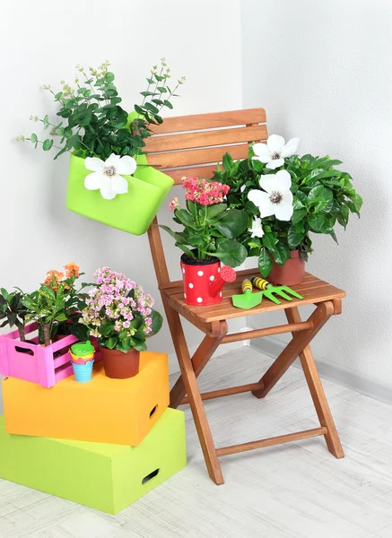 Many beautiful flowers on chair in room close-up — Stock Photo, Image