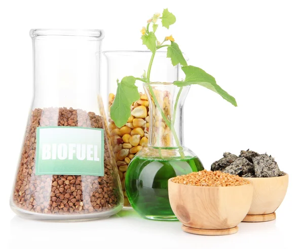 Conceptual photo of bio fuel. Isolated on white — Stock Photo, Image
