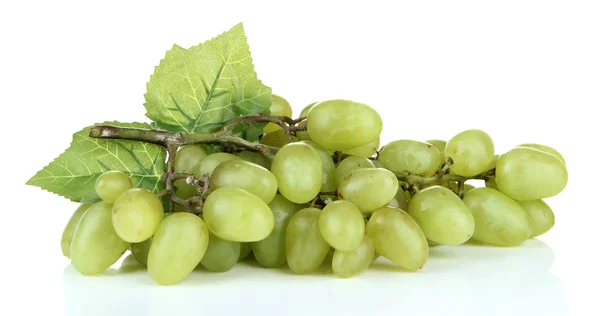 Fresh grape, isolated on white — Stock Photo, Image