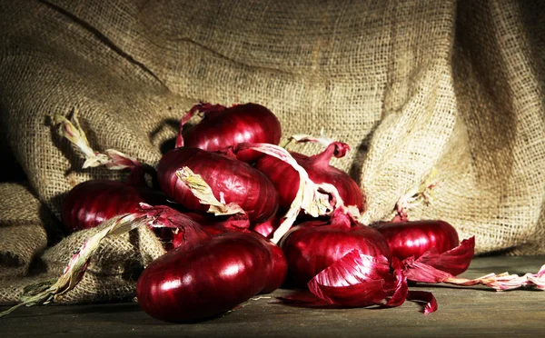 Oignons rouges frais dans la cave — Photo