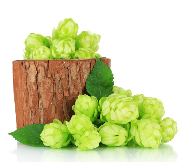 Frischer grüner Hopfen in Holzvase, isoliert auf weiß — Stockfoto