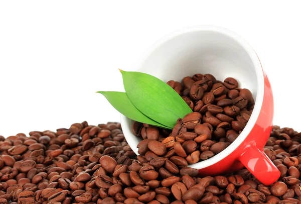 Kaffeebohnen in Tasse auf weißem Hintergrund — Stockfoto