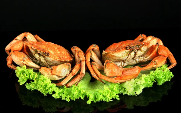 Boiled crabs isolated on black — Stock Photo, Image