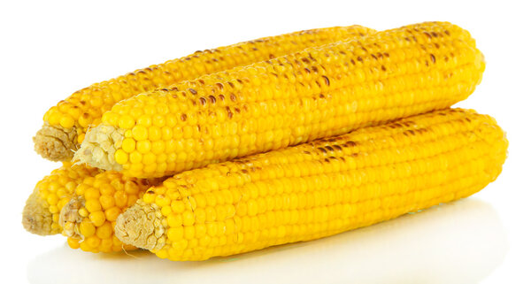Вкусный золотой гриль кукурузы изолированы на белом
