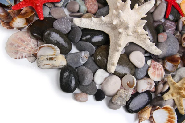 Close up of sea stones and shells — Stock Photo, Image