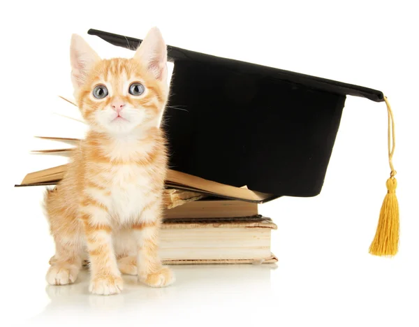 Schattige kleine rode kitten en boeken geïsoleerd op wit — Stockfoto