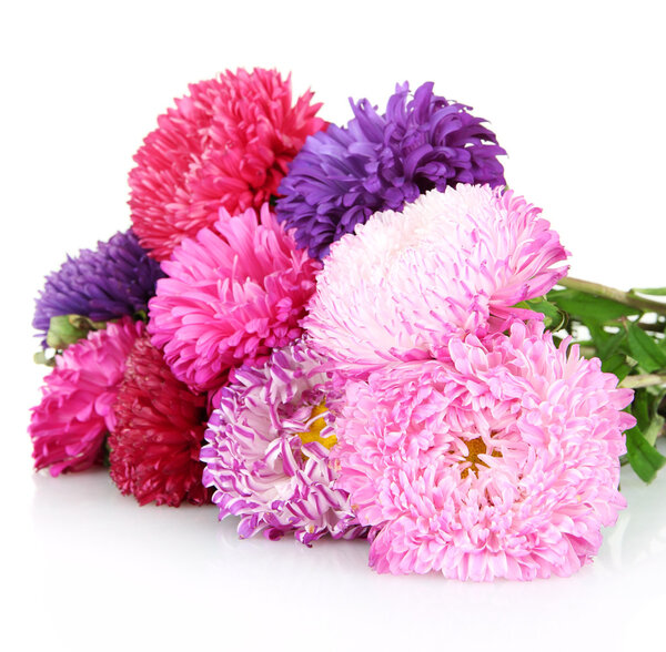 Яркие пасхальные цветы, изолированные на белом
