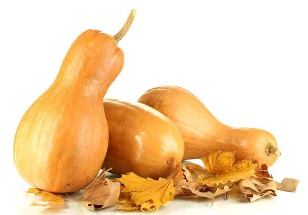 Ripe pumpkins with yellow autumn leaves isolated on white — Stock Photo, Image