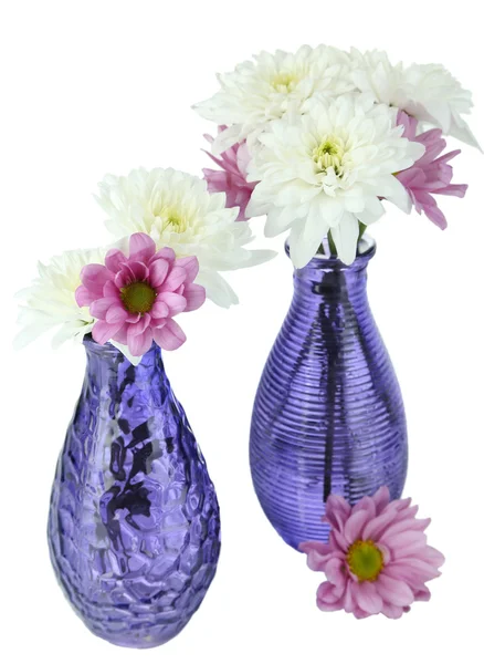 Lindas flores em vasos isolados em branco — Fotografia de Stock