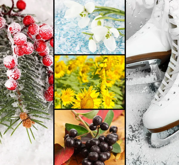 Four seasons collage — Stock Photo, Image