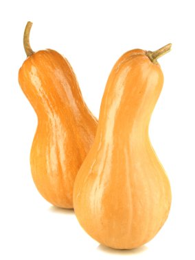 Olgun kabak üzerine beyaz izole