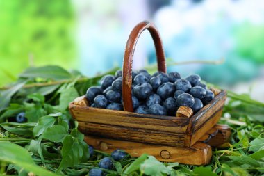 yaban mersini doğa arka plan üzerinde çim üzerinde ahşap sepeti