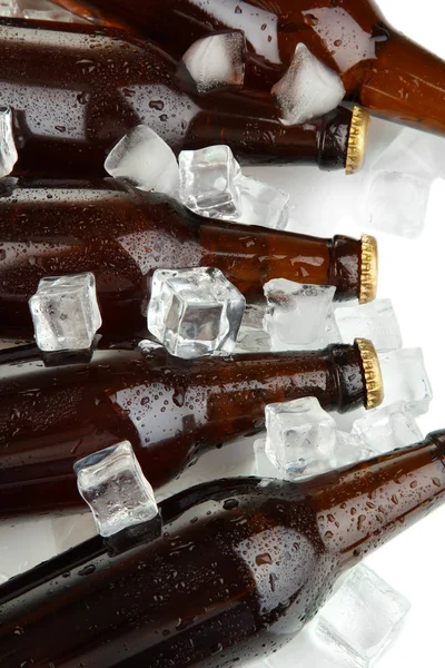 Beer bottles in ice cubes close up — Stock Photo, Image