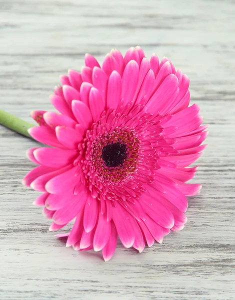 Beautiful pink gerbera flower on wooden table — Stock Photo, Image