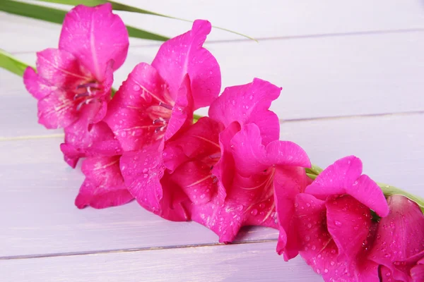 Beautiful gladiolus flower on wooden background — Stock Photo, Image