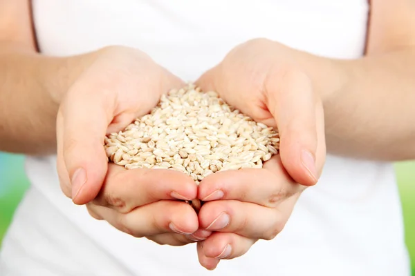 Wheat grain in female hands on natural background — Stock Photo, Image