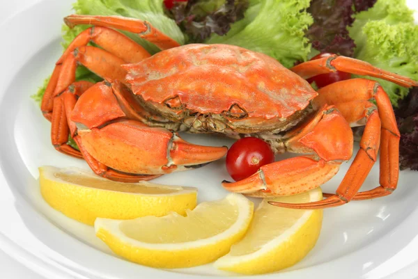 Crabe bouilli sur assiette blanche avec feuilles de salade et tomates, gros plan — Photo