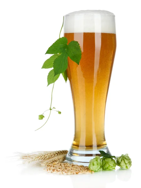 Glass of beer and hops, isolated on white — Stock Photo, Image