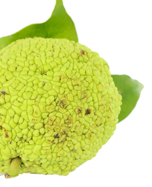 Osage turuncu meyve (maclura pomifera), üzerinde beyaz izole — Stok fotoğraf