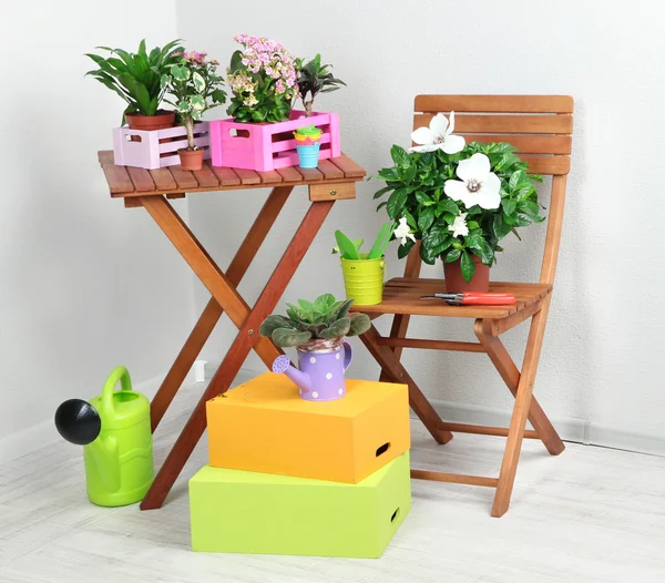 Багато красивих квітів на столі і стілець в кімнаті — стокове фото