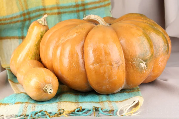 Ripe pumpkins on fabric background — Stock Photo, Image