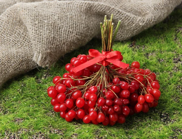 Red berries of viburnum on green grass background — Stock Photo, Image