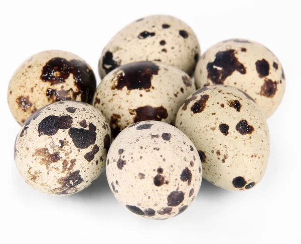 Quail eggs isolated on white — Stock Photo, Image