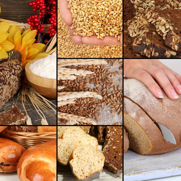 Pane e raccolta del collage di grano — Foto Stock