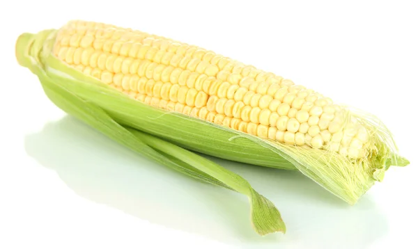 Légumes de maïs frais isolés sur blanc — Photo