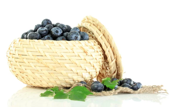 Blueberries in wooden basket on sackcloth isolated on white — Stock Photo, Image