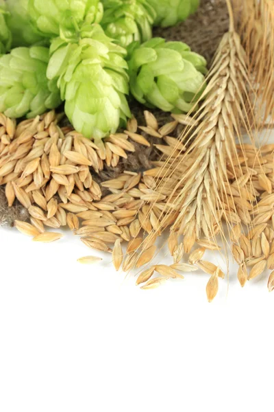 Fresh green hops and barley, isolated on white — Stock Photo, Image