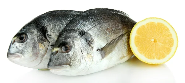 Dorado pescado aislado en blanco —  Fotos de Stock