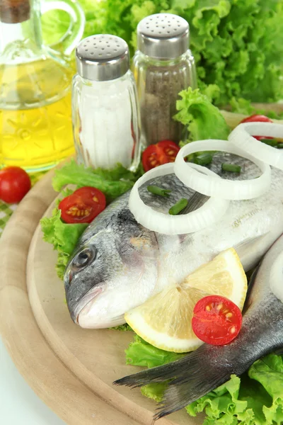 Dorado fish close-up — Stock Photo, Image