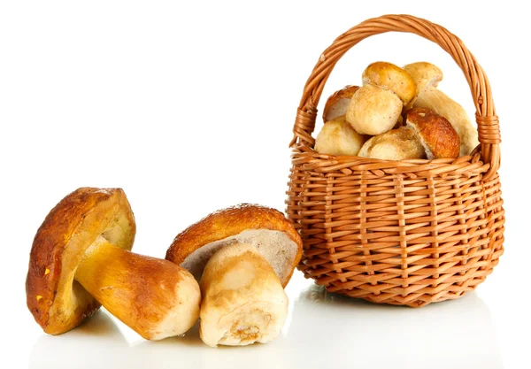Fresh mushrooms in basket isolated on white — Stock Photo, Image
