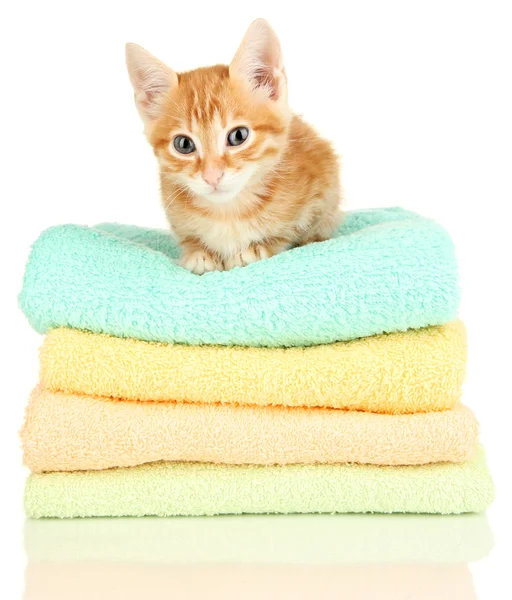 Cute little red kitten on towels isolated on white — Stock Photo, Image