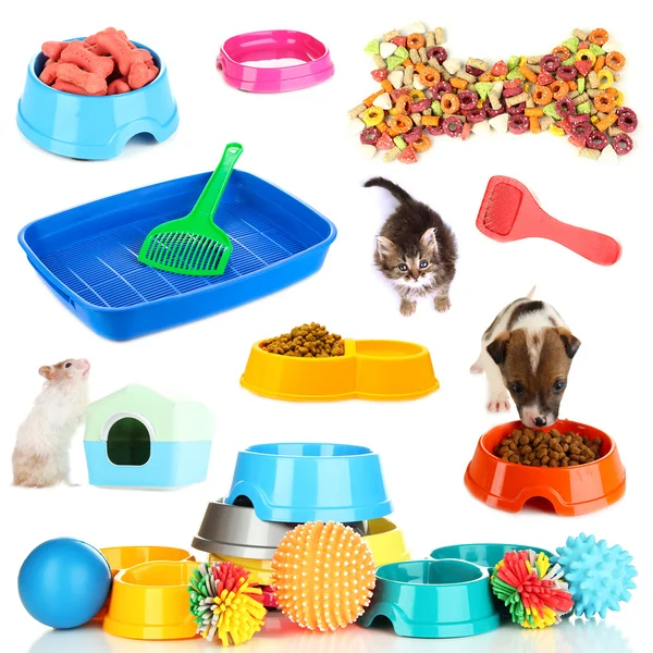 Collage of pets and different stuff for them — Stock Photo, Image