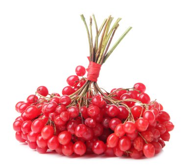 Kartopu beyaz izole kırmızı meyveler