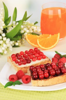 cranberries açık renkli tablo üzerinde lezzetli ekmek