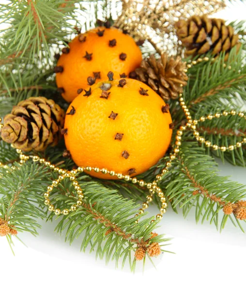 Weihnachtskomposition mit Orangen und Tanne, isoliert auf Weiß — Stockfoto