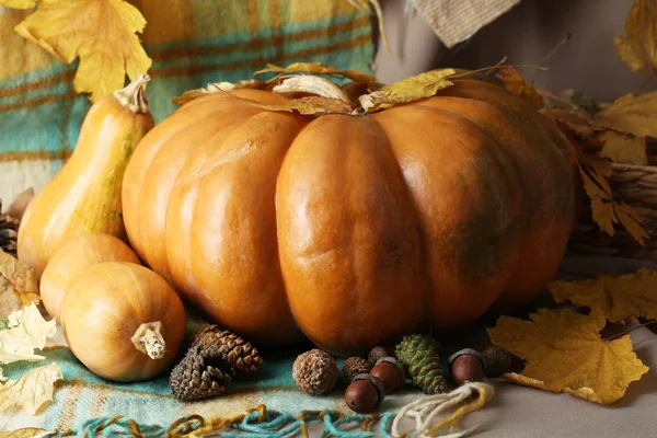 Herfst Stilleven met pumpkins op stof achtergrond — Stockfoto