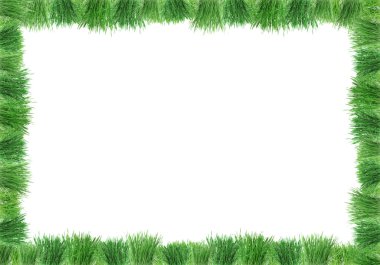 Yeşil çimenlerin üzerinde beyaz izole kolaj