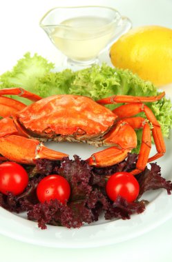 haşlama yengeç salata yaprakları ve domates, üzerinde beyaz izole beyaz plaka üzerinde