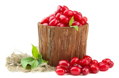 ahşap Vazoda beyaz izole taze cornel çilek