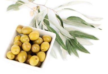 zeytin dalı üzerine beyaz izole kase