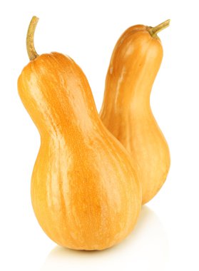 Olgun kabak üzerine beyaz izole