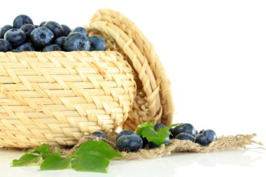 yaban mersini üzerinde beyaz izole çul üzerinde ahşap sepeti