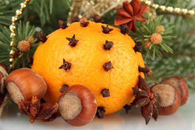 portakal ve çam ağacı, beyaz izole Noel kompozisyonu