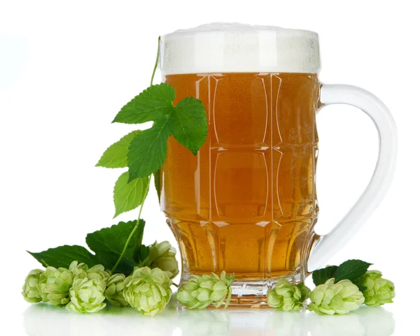 Glas Bier und Hopfen, isoliert auf weiß — Stockfoto